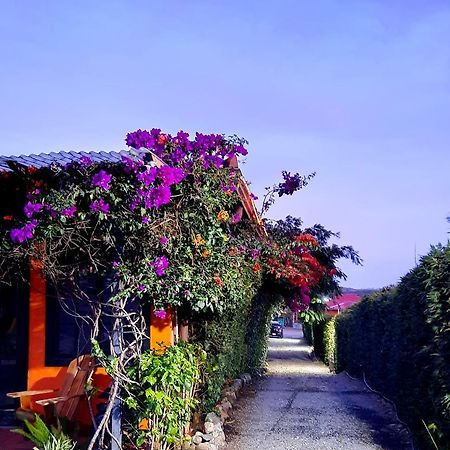 Cabanas San Miguel Alto Boquete ภายนอก รูปภาพ